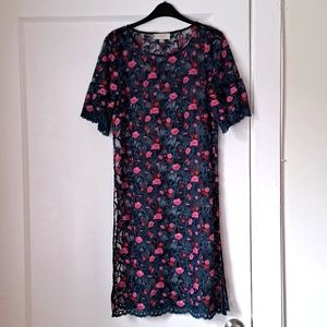 Beautiful Anthropologie sheer embroidered dress